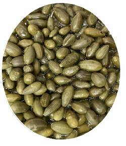 ترشی هندوانه ابوجهل فله